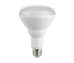 BR Bulb Series