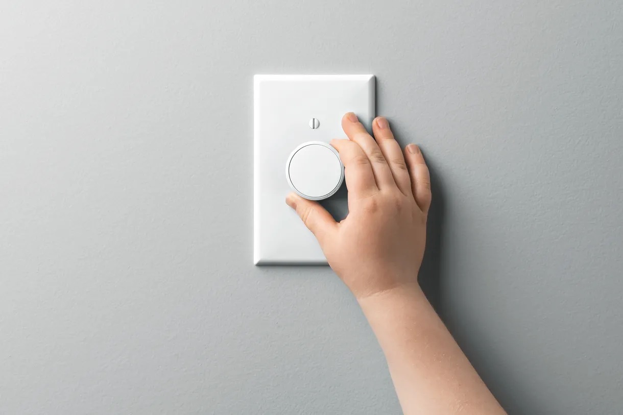 Dimmer Switch That Works With Led Bulbs