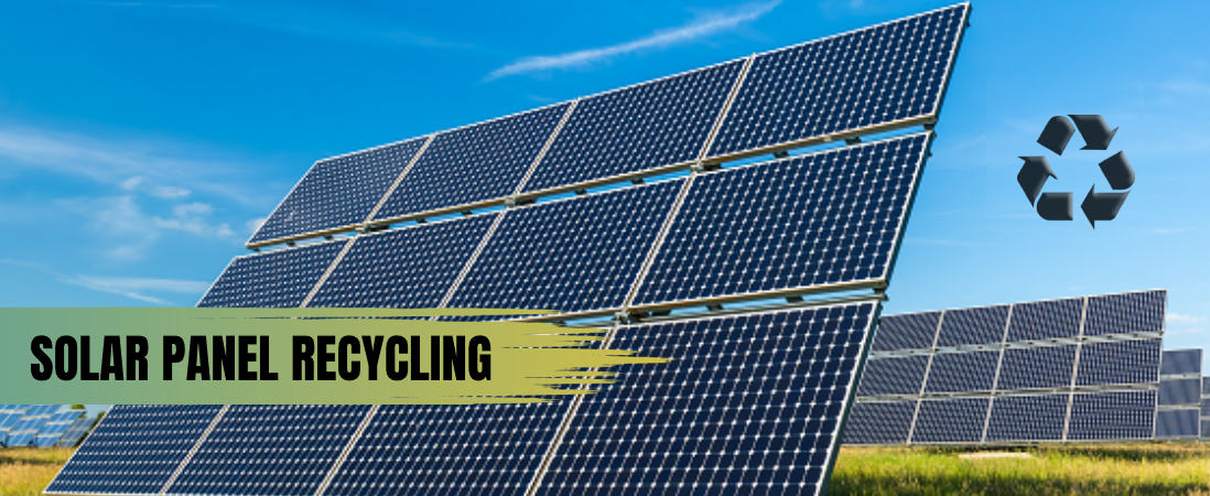 Solar Panel Recycling- The Panel’s Life After Death