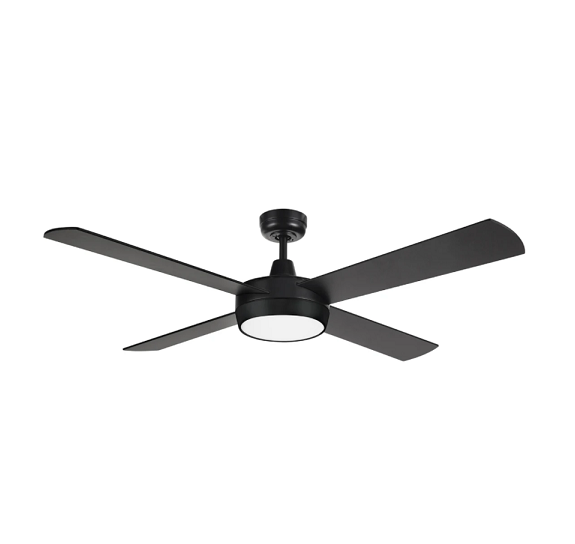 ceiling fan with light