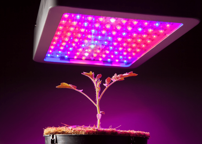 LED bulb implementation in Agricuture