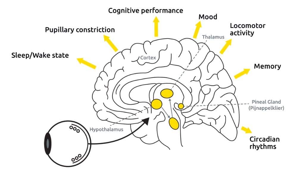 diagram showing the importance of lightng 