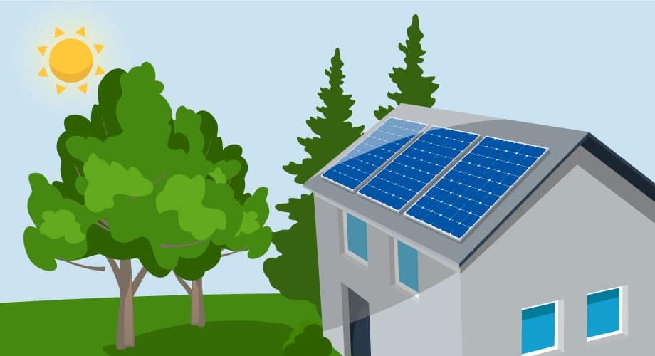 Trees cast shade on rooftop solar panels