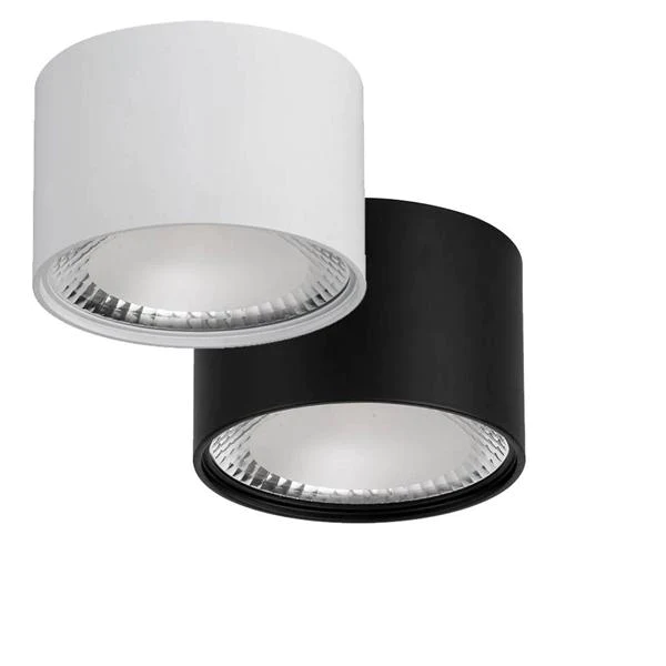 Surface mounted outdoor downlight